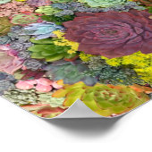 Farbenfrohe Grünpflanzen Sukkulente Poster (Ecke)