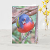 Farbenfrohe Grüße Karte (Gelbe Blume)