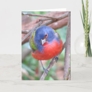 Farbenfrohe Grußkarte Karte