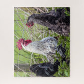 farbenfrohe Hähnchen Puzzle (Vertikal)