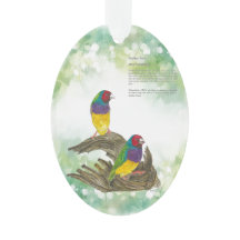 Farbenfrohe handbemalte, gefährdete Gouldian Finch