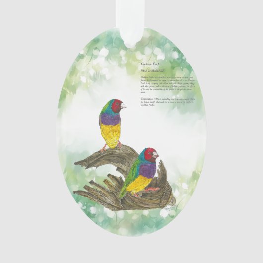 Farbenfrohe handbemalte, gefährdete Gouldian Finch Ornament (Vorderseite)
