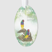 Farbenfrohe handbemalte, gefährdete Gouldian Finch Ornament (Vorderseite)