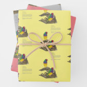 Farbenfrohe handbemalte Gouldian Finch Geschenkpapier Set (Beispiel)