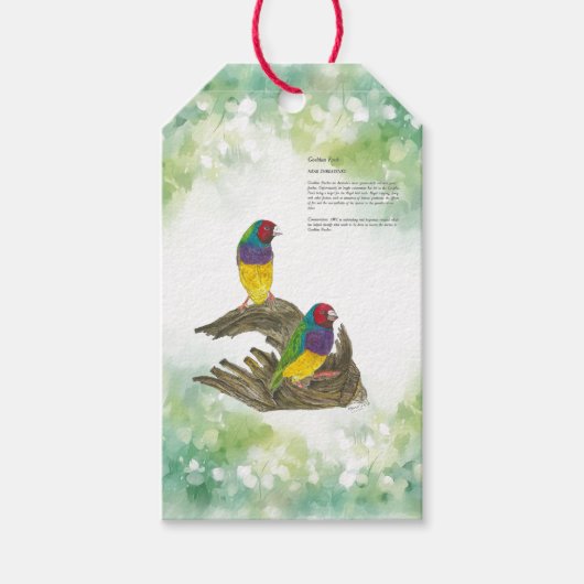 Farbenfrohe handbemalte Gouldianfinch Geschenkanhänger (Vorderseite)