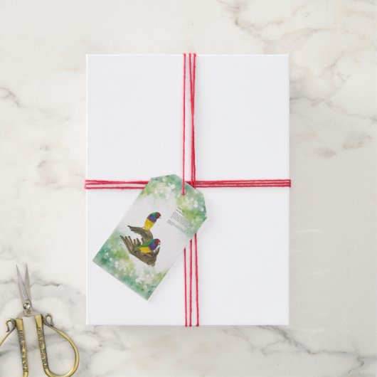 Farbenfrohe handbemalte Gouldianfinch Geschenkanhänger (Mit Garn)