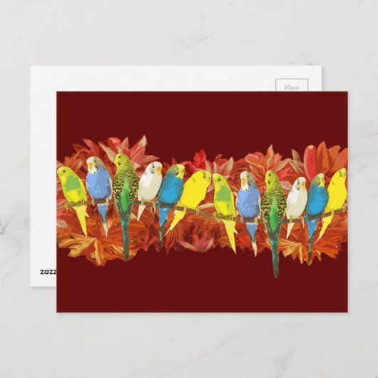 Farbenfrohe Haushaltsmuster Postkarte (Vorne/Hinten)