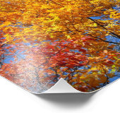 Farbenfrohe Herberge Wandern neben dem Wasser Foto (Ecke)