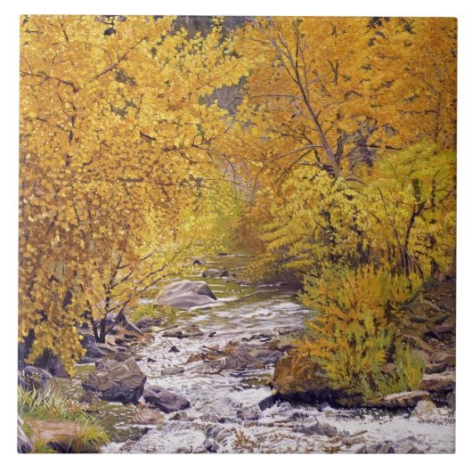 Farbenfrohe Herbst-Aspen-Bäume im Morrison Colorad Fliese (Vorderseite)