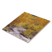 Farbenfrohe Herbst-Aspen-Bäume im Morrison Colorad Fliese (Seite)