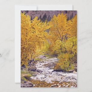 Farbenfrohe Herbst-Aspen-Bäume im Morrison Colorad Save The Date