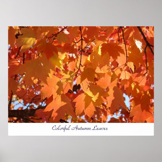 Farbenfrohe Herbst-Blätter Kunstdrucke Orange Fall Poster (Vorne)