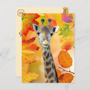 Farbenfrohe Herbst/Herbst-Giraffe Postkarte