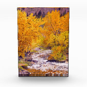 Farbenfrohe Herbstaspekte in Colorado Fotoblock (Vorderseite)