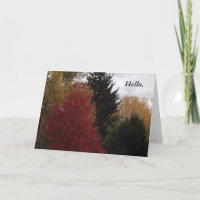 Farbenfrohe Herbstbäume Hallo Grußkarten