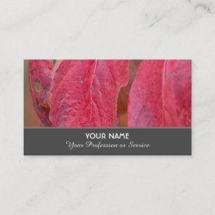 Farbenfrohe Herbstblätter im Indian Summer Visitenkarte