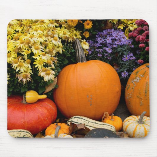 Farbenfrohe Herbstdekoration mit Kürbissen Mousepad (Vorne)