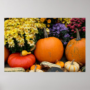 Farbenfrohe Herbstdekoration mit Kürbissen Poster
