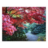 Farbenfrohe Herbstgärten Fotodruck (Vorne)