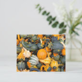 Farbenfrohe Herbstgürtel, Squash Postkarte (Stehend Vorderseite)
