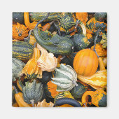 Farbenfrohe Herbstgürtel und Squash Magnet (Vorne)