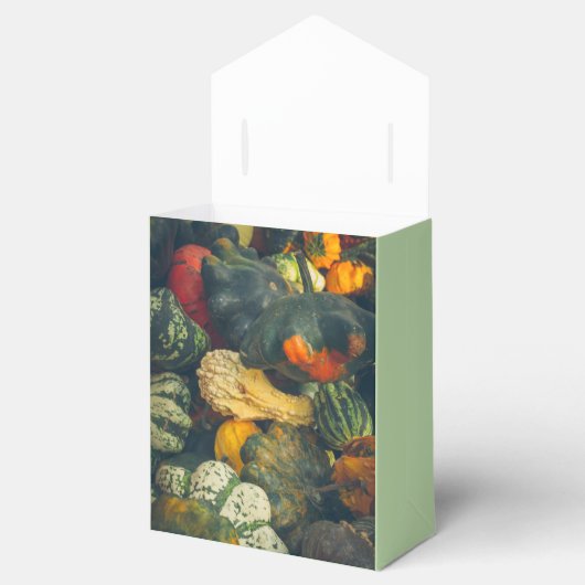 Farbenfrohe Herbstkurz und Kürbis Geschenkschachtel (Geöffnet)