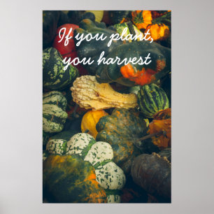 Farbenfrohe Herbstkurz und Kürbis Poster