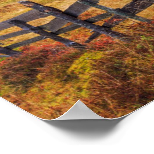 Farbenfrohe Herbstlandschaft mit Zaun in Siebenbür Poster (Ecke)