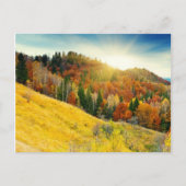 Farbenfrohe Herbstlandschaft Postkarte (Vorderseite)