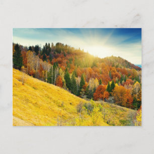 Farbenfrohe Herbstlandschaft Postkarte