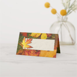 Farbenfrohe Herbstlaube Hochzeit Platzkarte