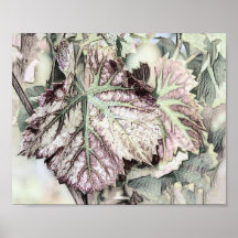 Farbenfrohe Herbstlaube mit zeichnend Herbstfarben