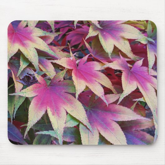 Farbenfrohe Herbstmaple Blätter Blumen Mousepad (Vorne)