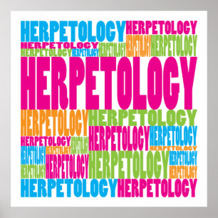 Farbenfrohe Herpetologie Poster