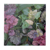 Farbenfrohe Heuchera Pflanze Blätter Botanisch Fliese (Vorderseite)