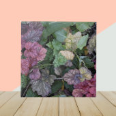 Farbenfrohe Heuchera Pflanze Blätter Botanisch Fliese