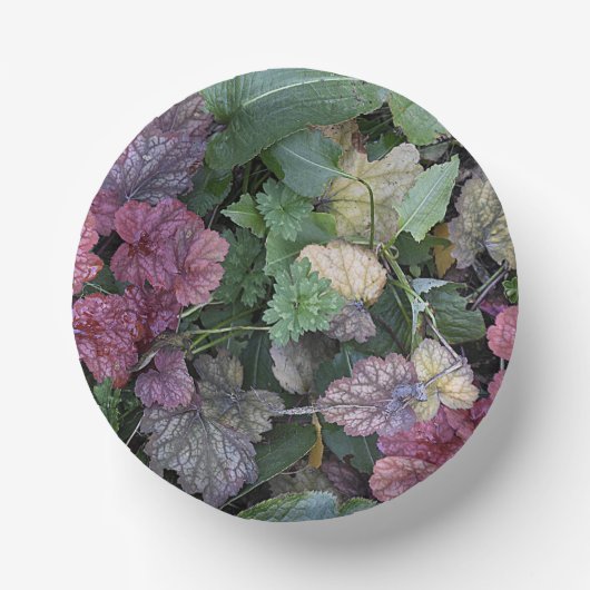 Farbenfrohe Heuchera Pflanze Blätter Botanisch Pappteller (Vorderseite)