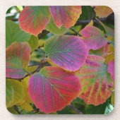 Farbenfrohe Hexenalder-Blätter Botanisch Getränkeuntersetzer (Vorderseite)
