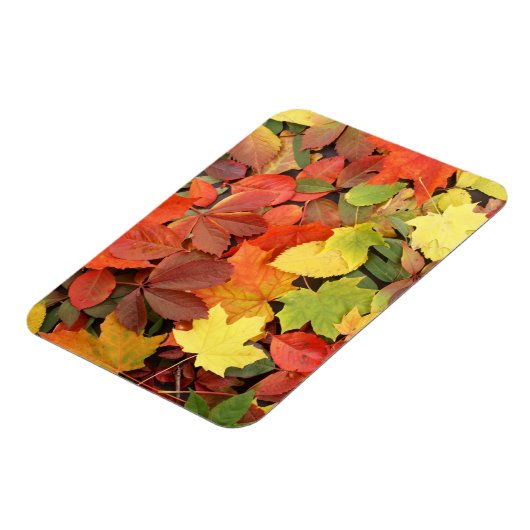 Farbenfrohe Hintergründe der stürmischen Blätter Magnet (Linke Seite)