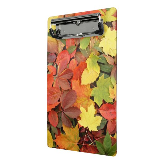 Farbenfrohe Hintergründe der stürmischen Blätter Mini Klemmbrett (Gewinkelt2)