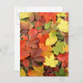 Farbenfrohe Hintergründe der stürmischen Blätter Postkarte (Vorne/Hinten)