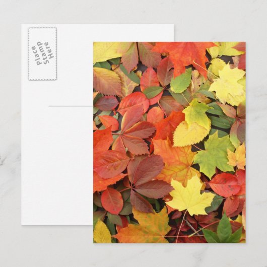 Farbenfrohe Hintergründe der stürmischen Blätter Postkarte (Vorne/Hinten)