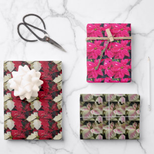 Farbenfrohe Holiday Poinsettias Blumenmuster Geschenkpapier Set