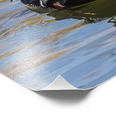 Farbenfrohe Holzente Fotodruck (Ecke)