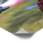 Farbenfrohe Holzente Nah Poster (Ecke)