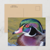 Farbenfrohe Holzente Nah Postkarte (Vorne/Hinten)