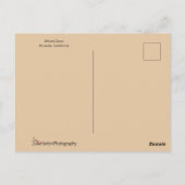 Farbenfrohe Holzente Nah Postkarte (Rückseite)