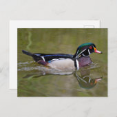 Farbenfrohe Holzente Postkarte (Vorne/Hinten)