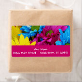 Farbenfrohe Hot Pink Aquamarin Blue Gerber Blume (Insitu)