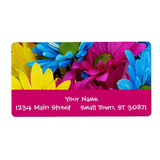 Farbenfrohe Hot Pink Aquamarin Blue Gerber Blume (Vorne)